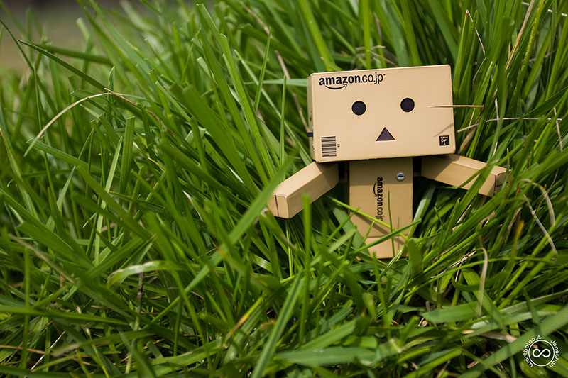 Danbo