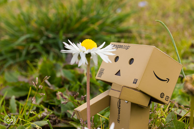 Danbo