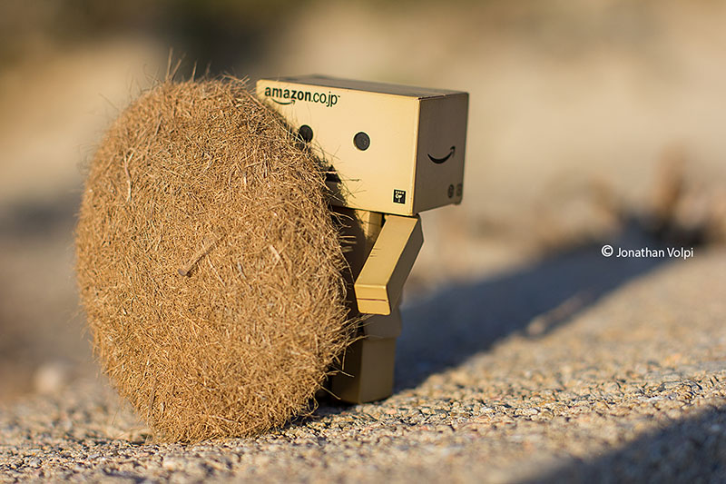 Danbo